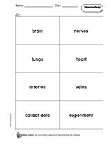 How Your Body Works: Vocabulary