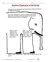 Explore Elephants of All Kinds