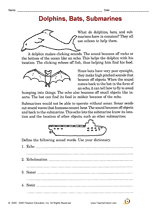 Dolphins, Bats, Submarines