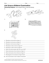 Life Science Midterm Exam