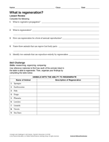What Is Regeneration?