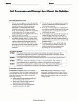 Cell Processes and Energy: Just Count the Bubbles